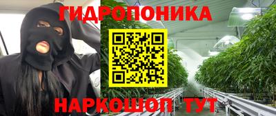 2c-b Камышлов