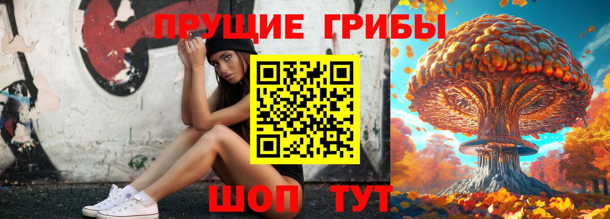 Псилоцибиновые грибы Psilocybe  Псилоцибиновые грибы прущие грибы  Вход с VPN  Щёлково 